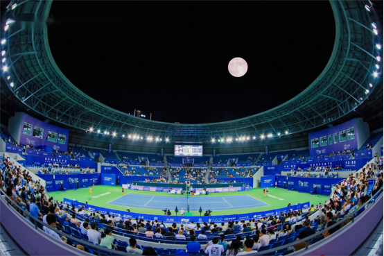 追寻自己的 追寻自己的